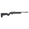 ruger 1022 takedown stock