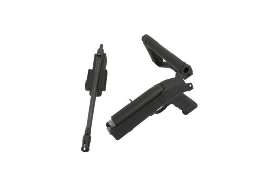 New Ruger 10/22 Takedown® With AGP Stock Kit